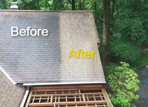 Soft Washing During Soft Washing During