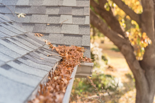A residential roof gutter is shown filled with leaves.