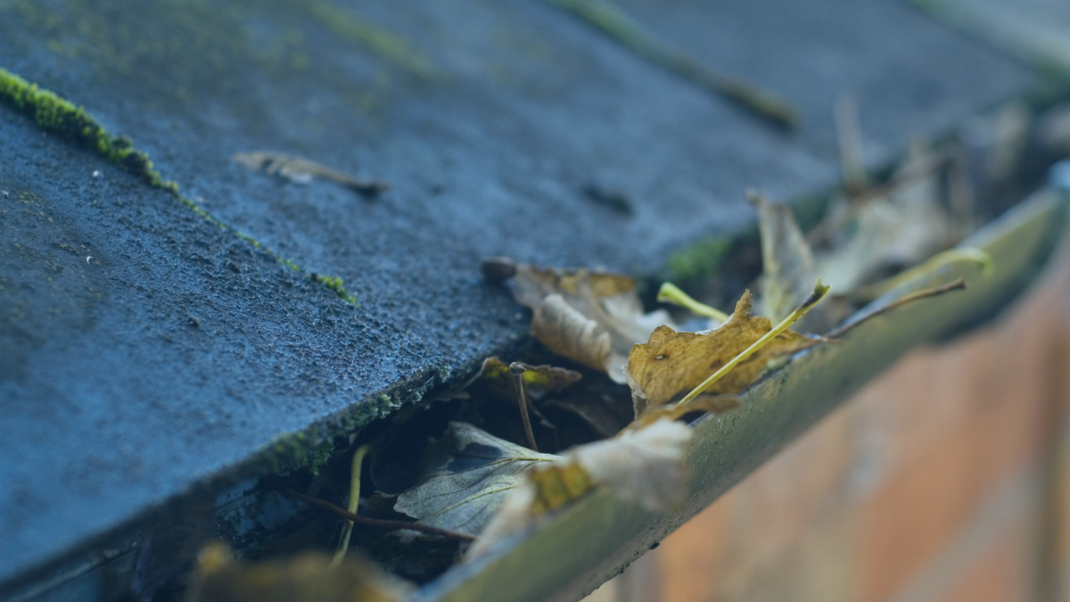 A-Quick Pressure Washing