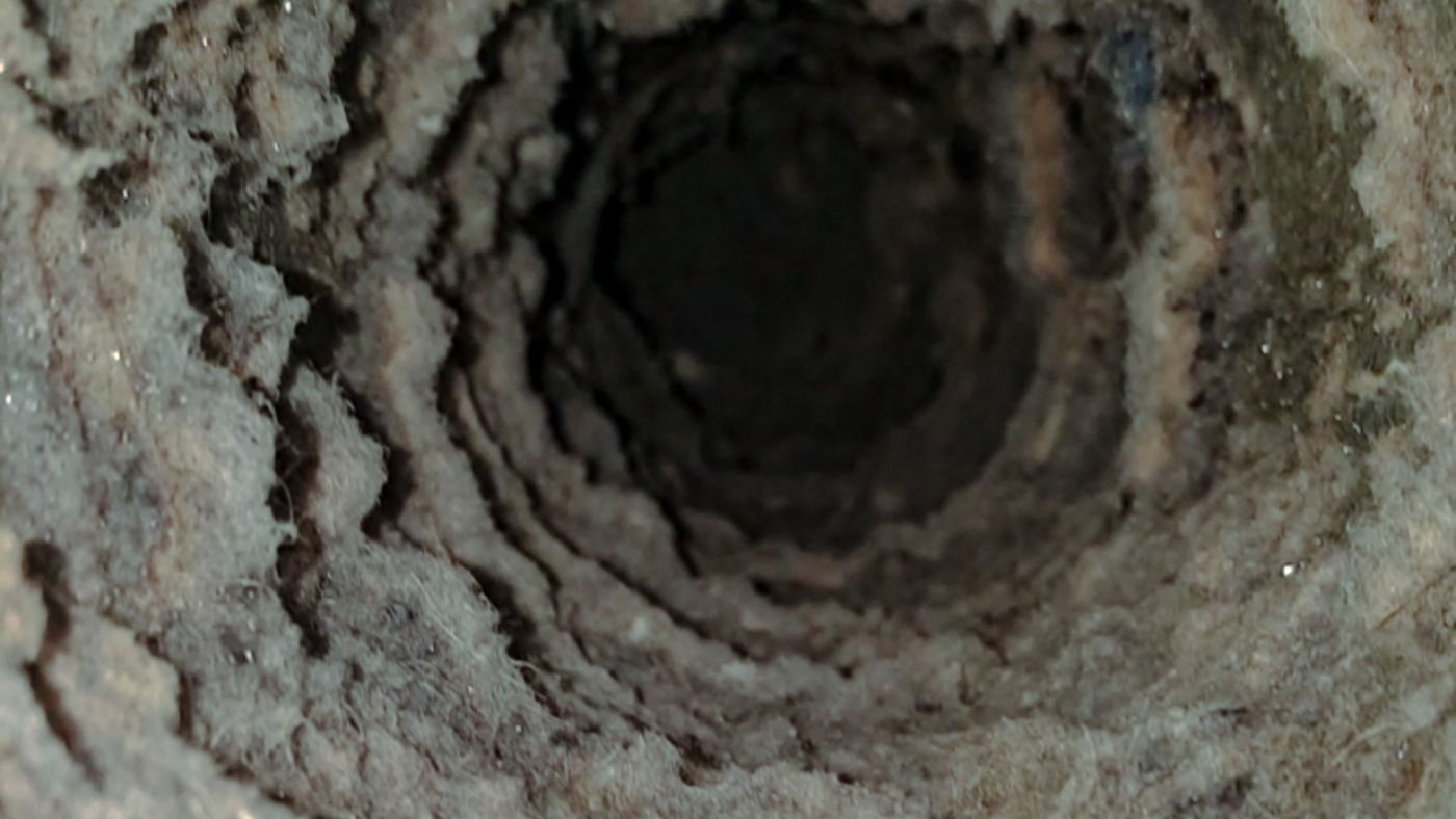 Why Should You Get Your Dryer Vent Professionally Cleaned Ecotek